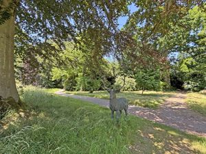 Photo 7- click for photo gallery